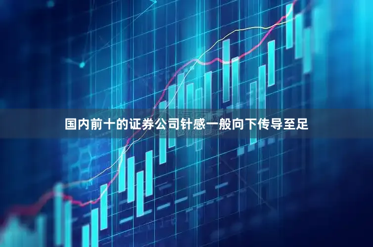 国内前十的证券公司针感一般向下传导至足