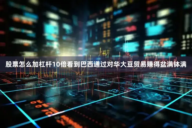 股票怎么加杠杆10倍看到巴西通过对华大豆贸易赚得盆满钵满